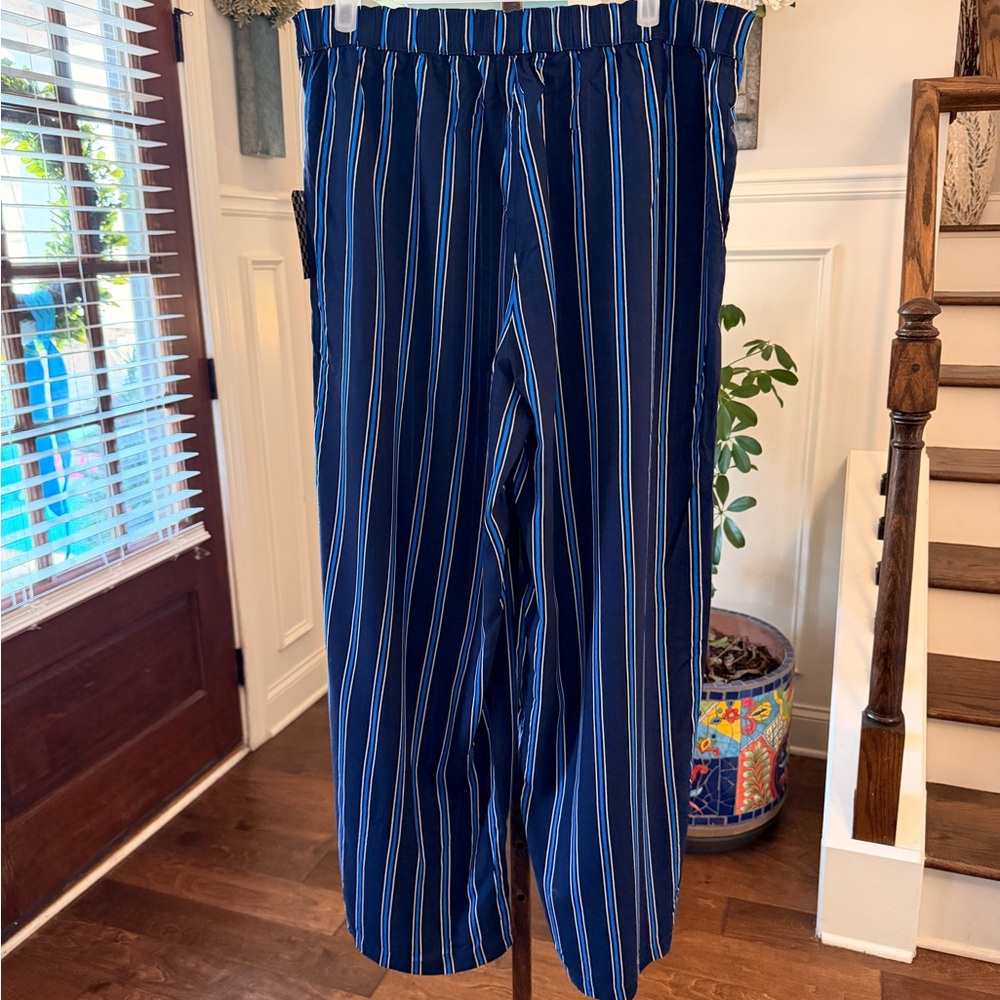 Vans NWT Suma Time Skydriver Navy and Blue Striped Pants w/ Pockets - Picture 4 of 7